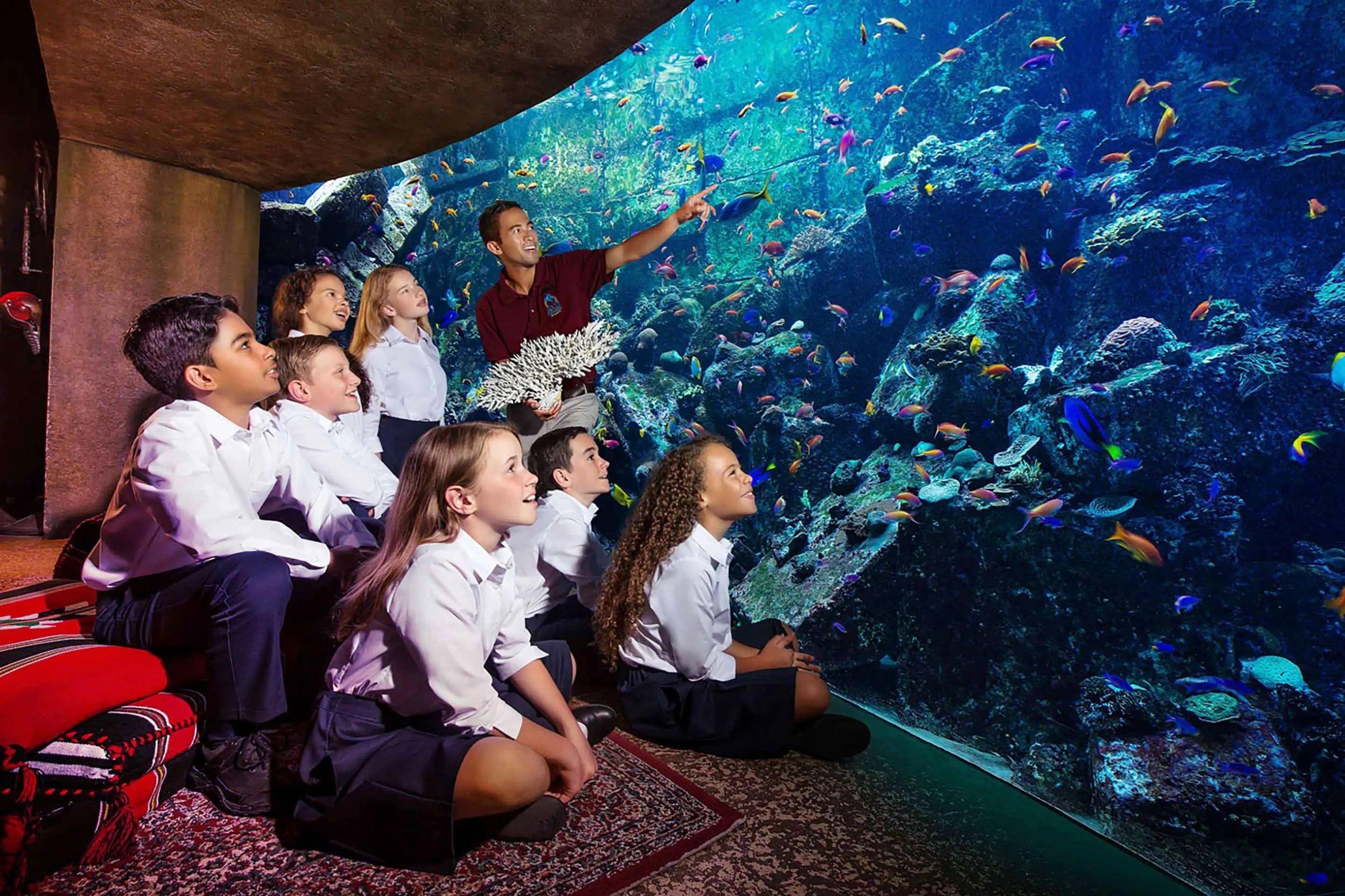 Marine Explorers at Atlantis Aquaventure